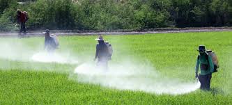 pesticides and environmental health