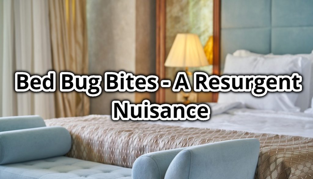 Bed Bug Bites A Resurgent Nuisance