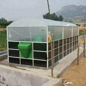 Teenwin Biogas Digester