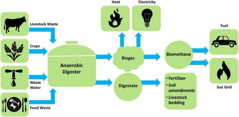 Biogas Digester 768x378 