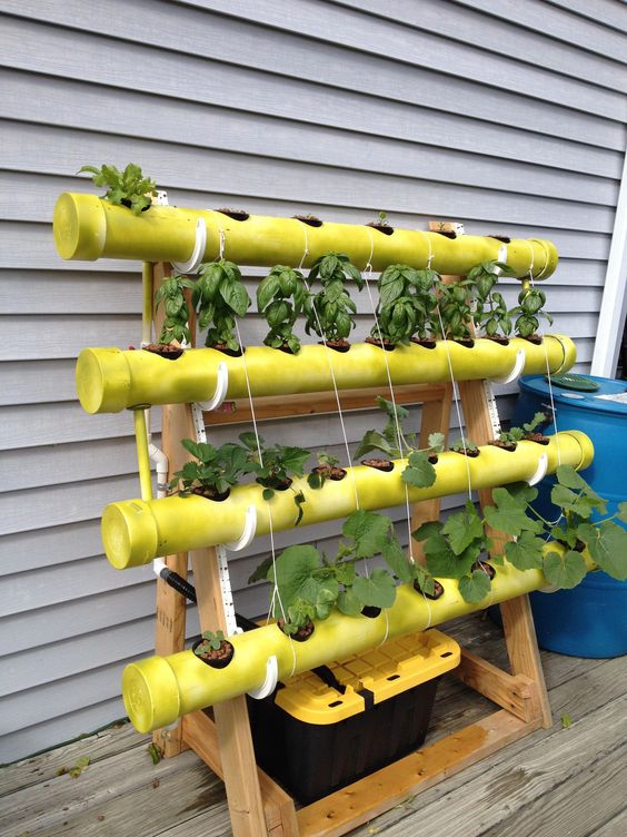 hydroponics-for-beginners