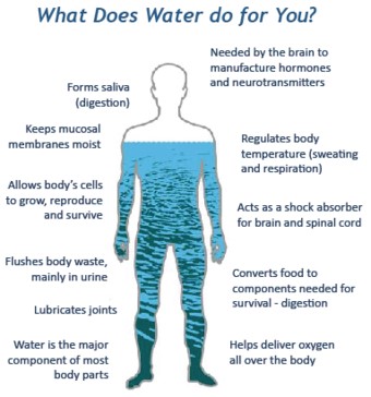 drinking-water-benefits