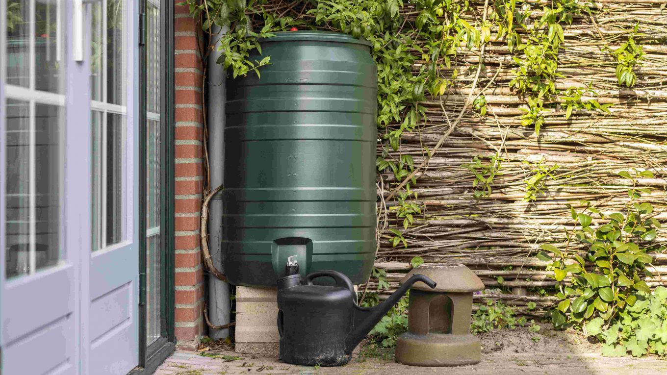 Tips for Rainwater Harvesting